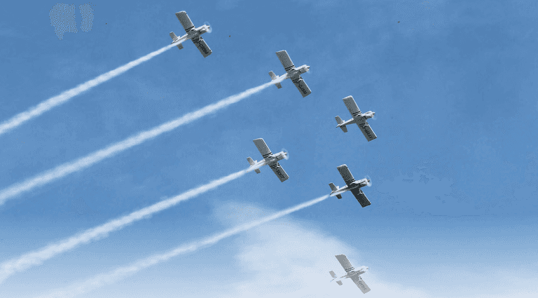 Green Party calls for Bray Air Show to become carbon neutral