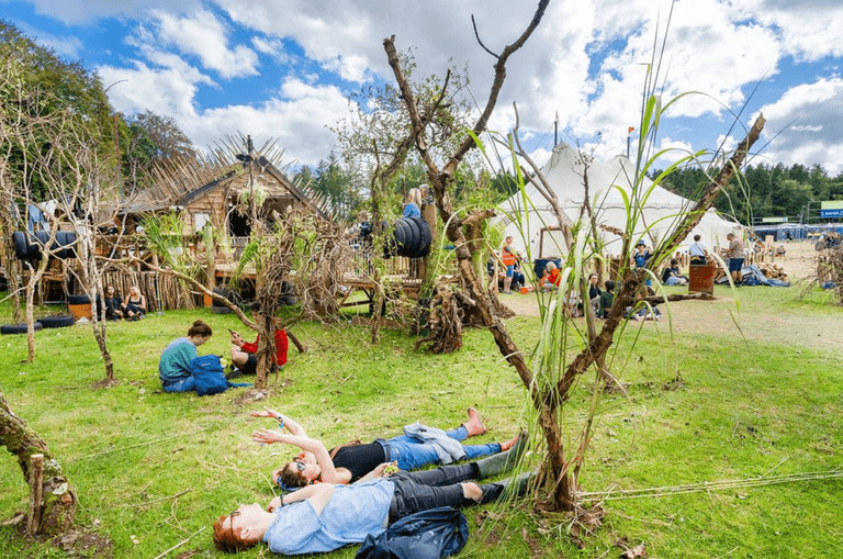 Drug surrender bins to be in operation at Electric Picnic but no amnesty