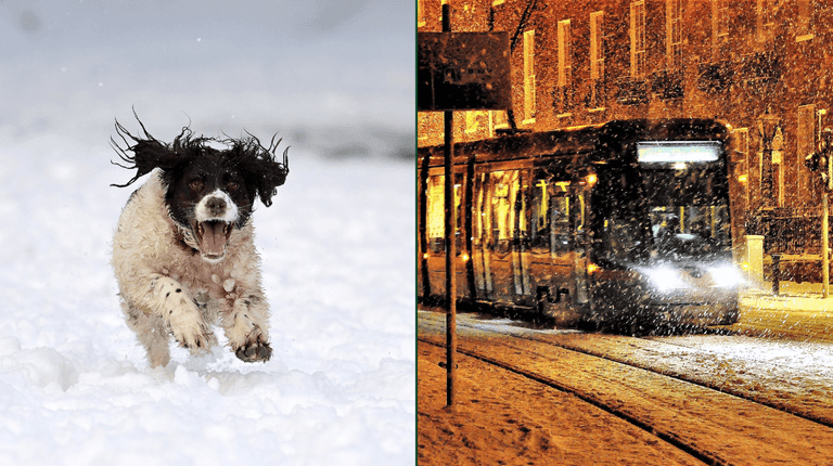 Met Éireann predicts likelihood of having a White Christmas in Ireland this year