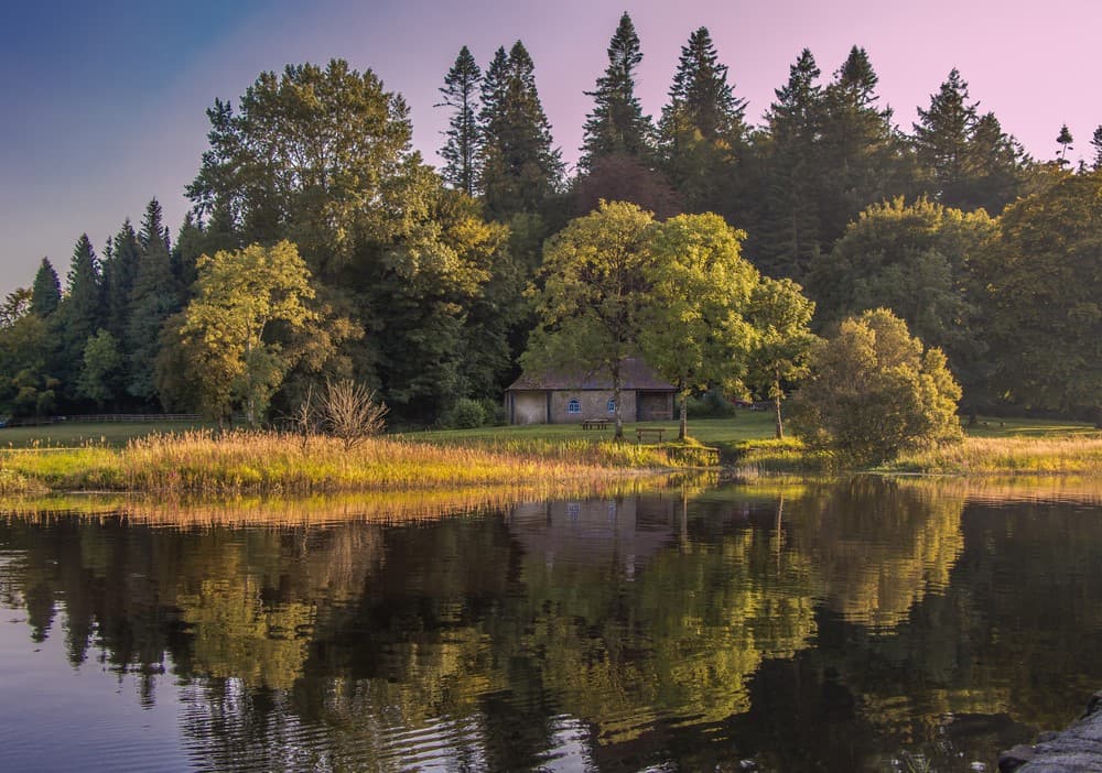 Cavan Bucket List: 12 Things To Check Out In This Gorgeous County