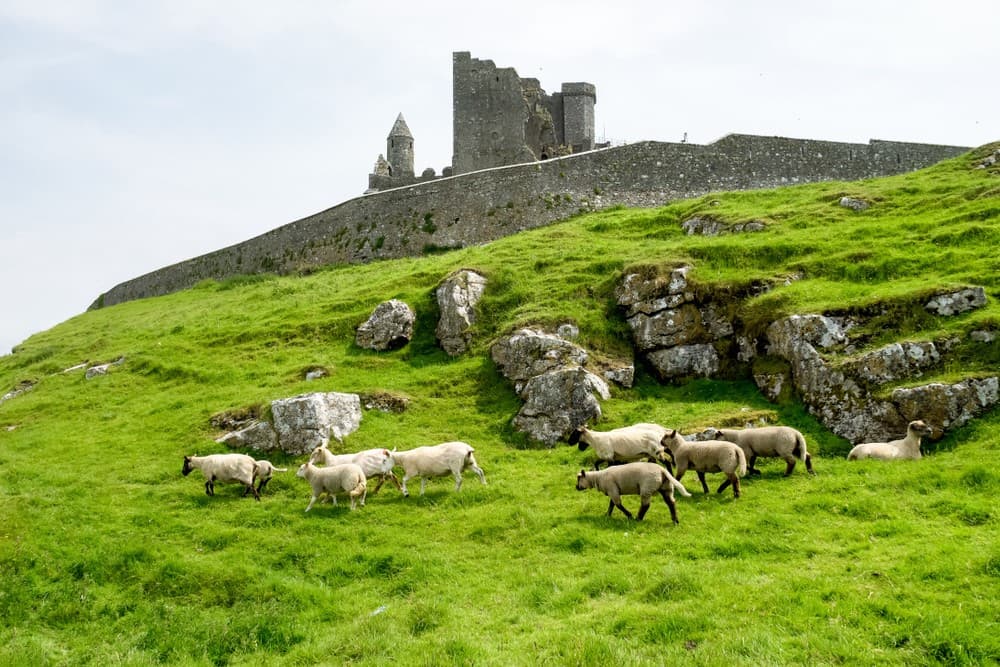 Tipperary Bucket List: 11 Things To Do In This Stunningly Beautiful Part Of The Country