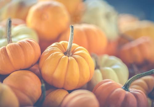 10 Fangtastic Family Midterm Escapes To Go On This Halloween