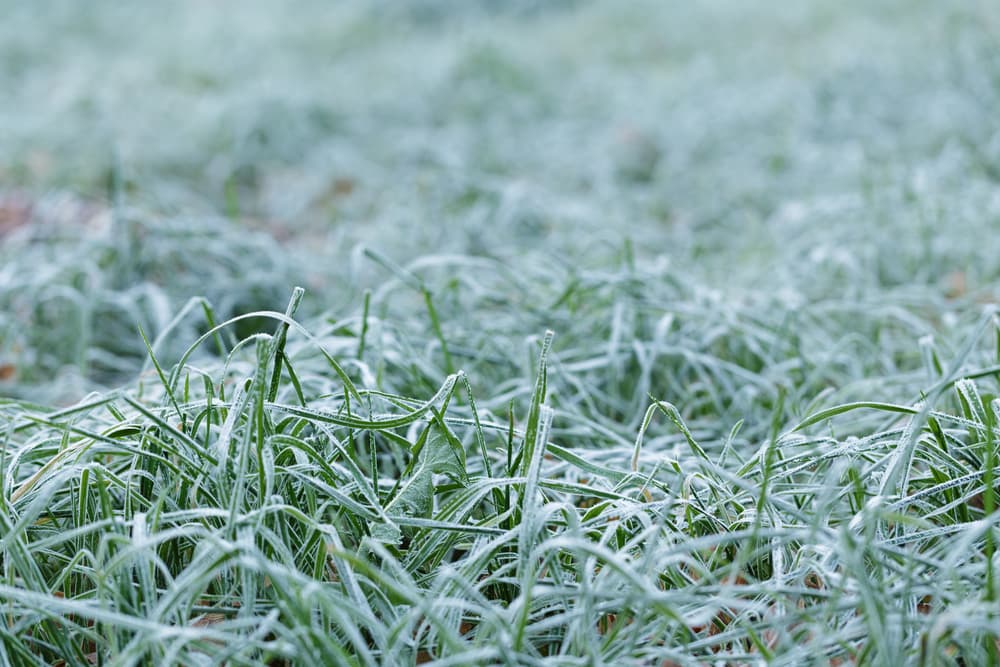 Temperatures set to plummet below zero over the bank holiday weekend with frost and ice expected