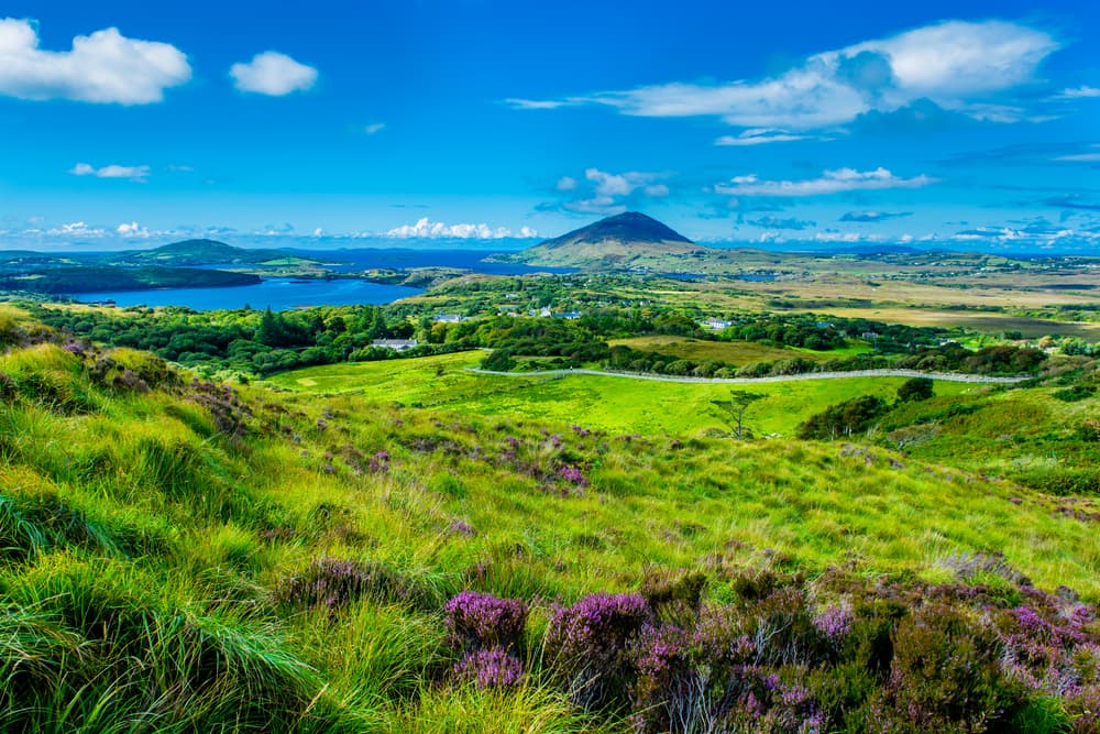 Government considering offering €500 staycation voucher to Irish households