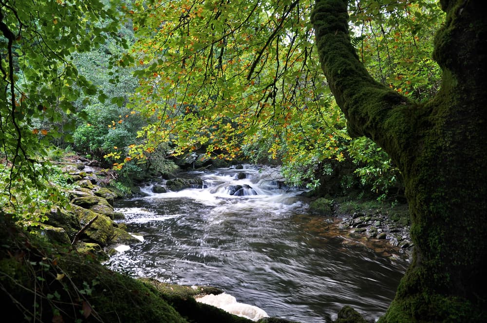 Five of the best spots in Ireland for a wild camping trip this summer