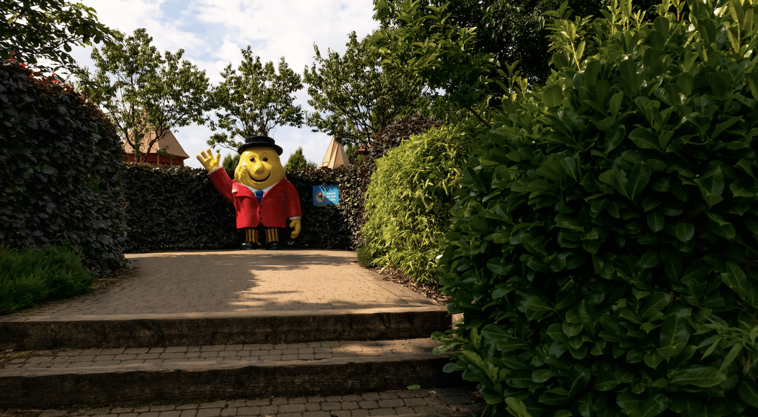 Leaving Cert students can get half-price tickets to Tayto Park this week 