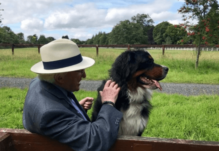 President Higgins has announced that his dog Síoda has passed away