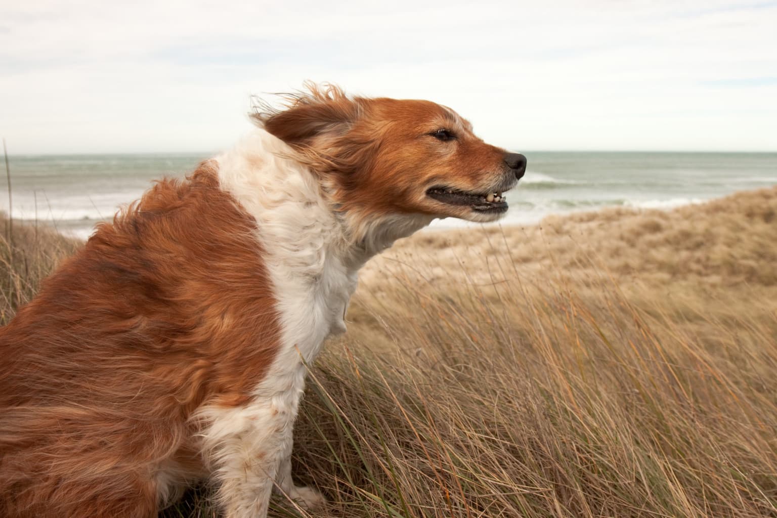 Status Yellow Wind warning extended to more parts of the country
