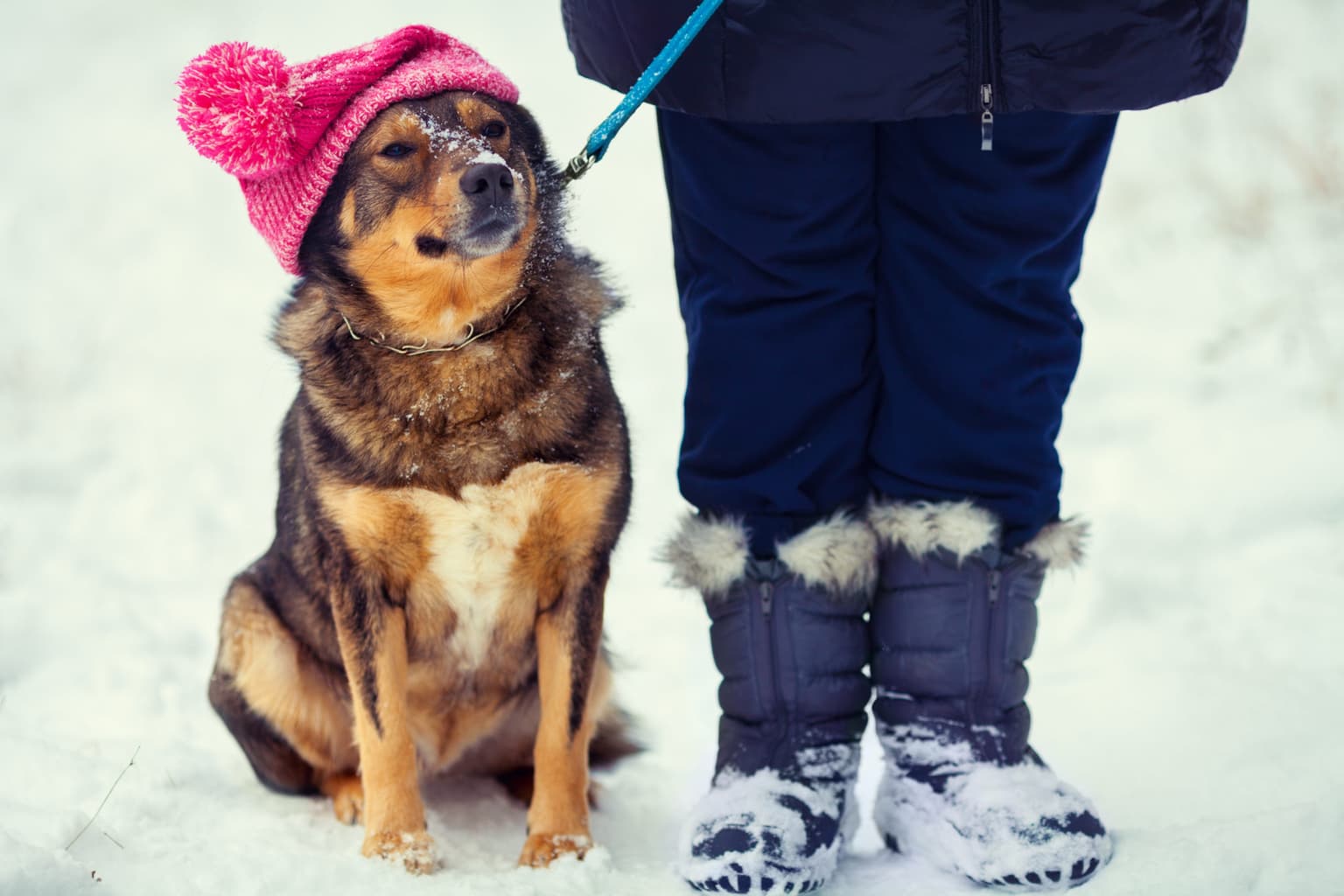 Met Éireann predicts ‘wintry’ end to 2020 with risk of rain, sleet and more snow