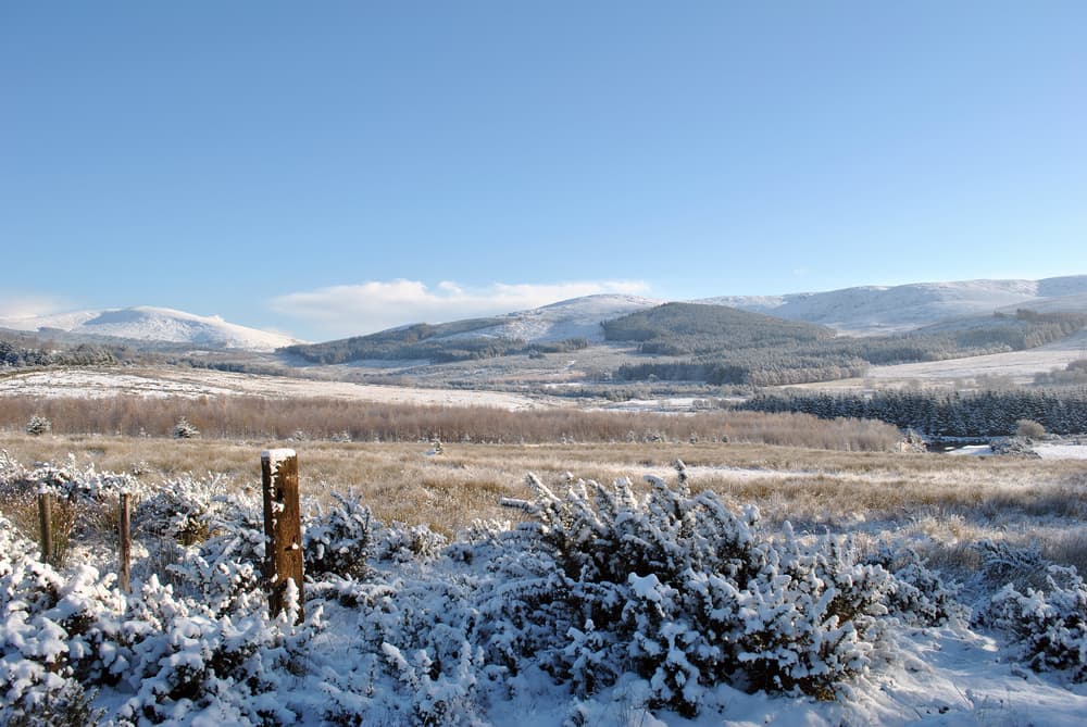 Snow and ice warning in place until tomorrow for several counties