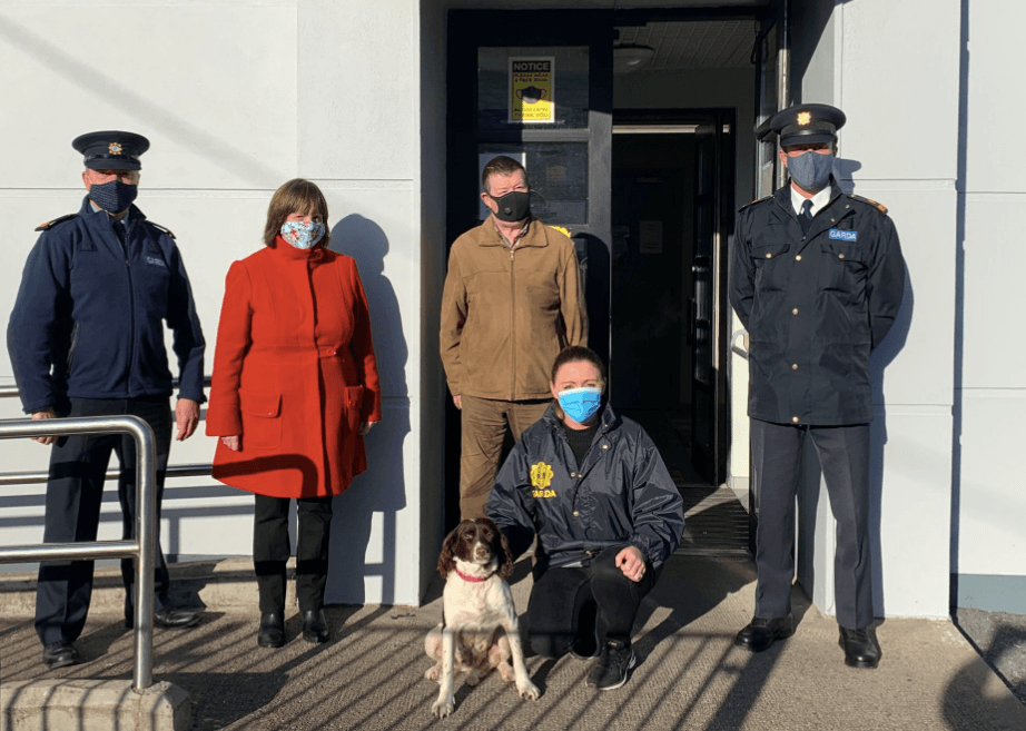 Miracle dog returned to Cork owners after being located in the UK, six months after going missing