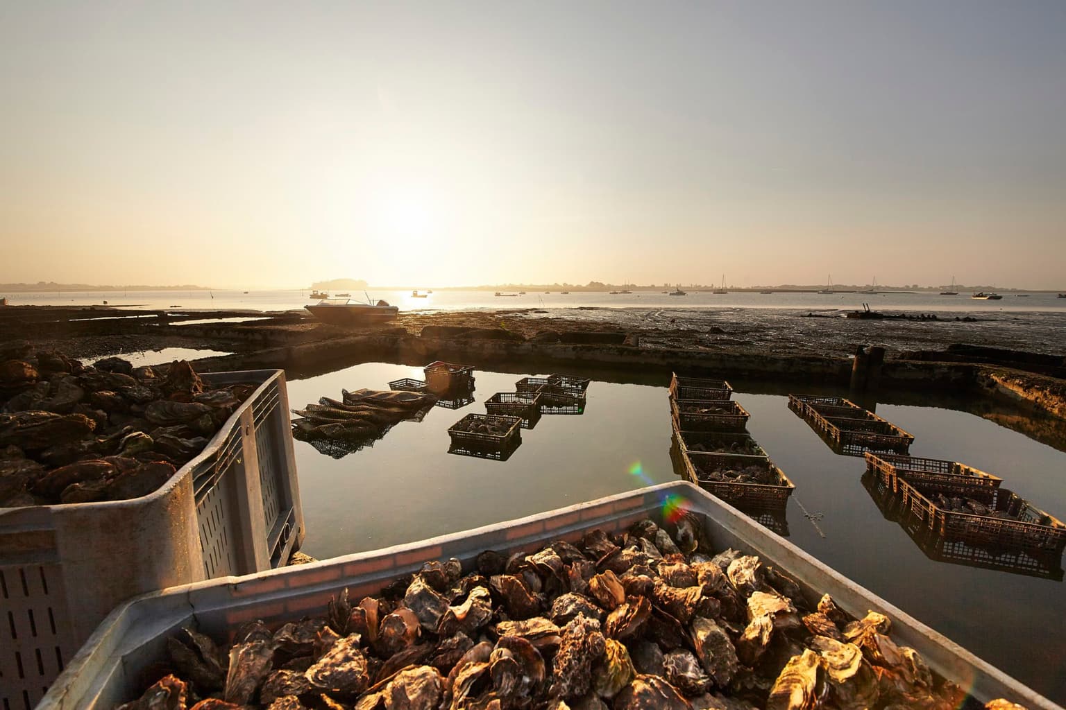 Nine delicious foodie experiences Brittany has to offer