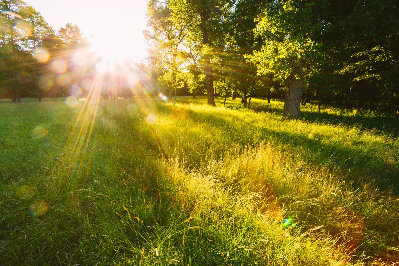 Saturday to bring ‘good sunny spells’ according to Met Éireann