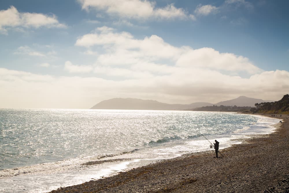93 Irish beaches and marinas awarded Blue Flags for 2021