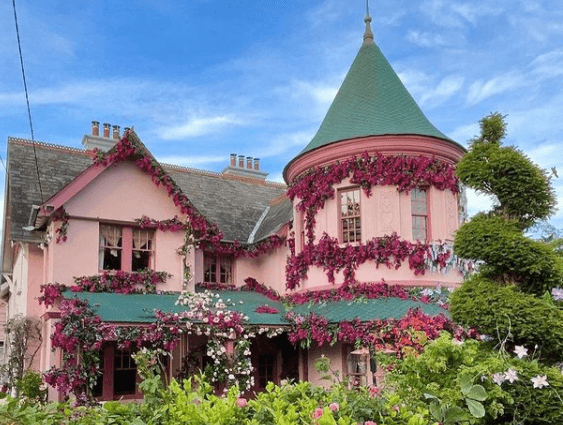 It’s a fairytale ending as Disenchanted filming wraps in Enniskerry