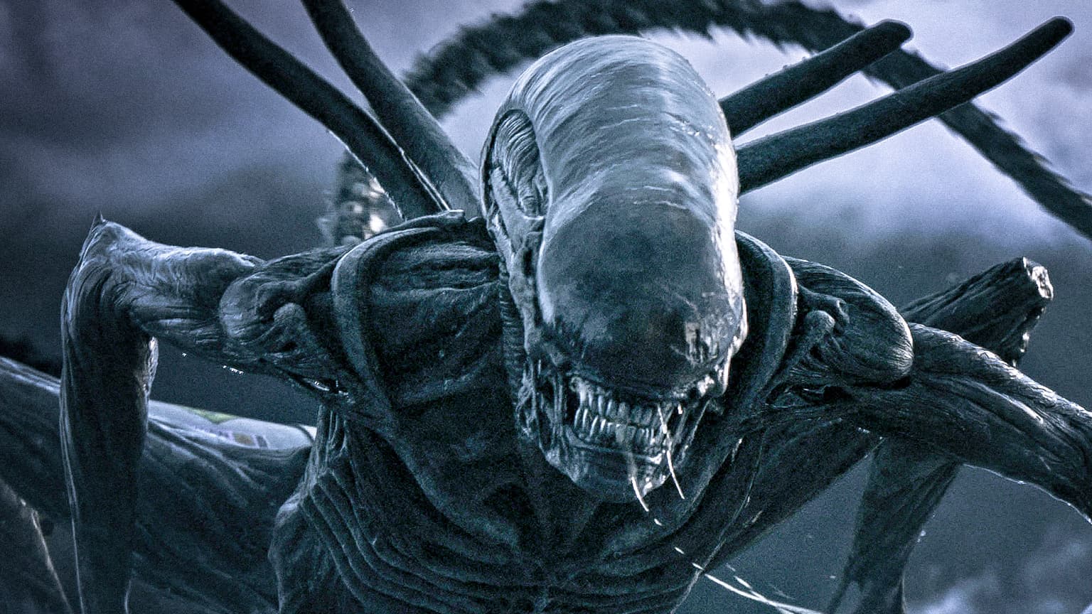The best movies on TV this Saturday and Sunday