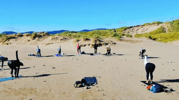 Yoga on the beach will continue in Sligo throughout September Yoga on the beach will continue in Sligo throughout September