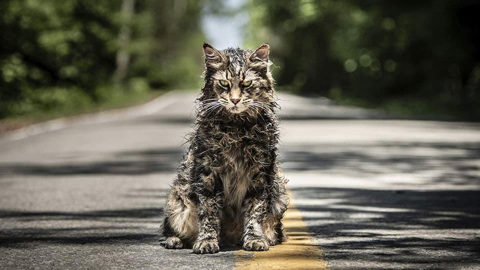 Nine of the best movies on TV for your Friday night in