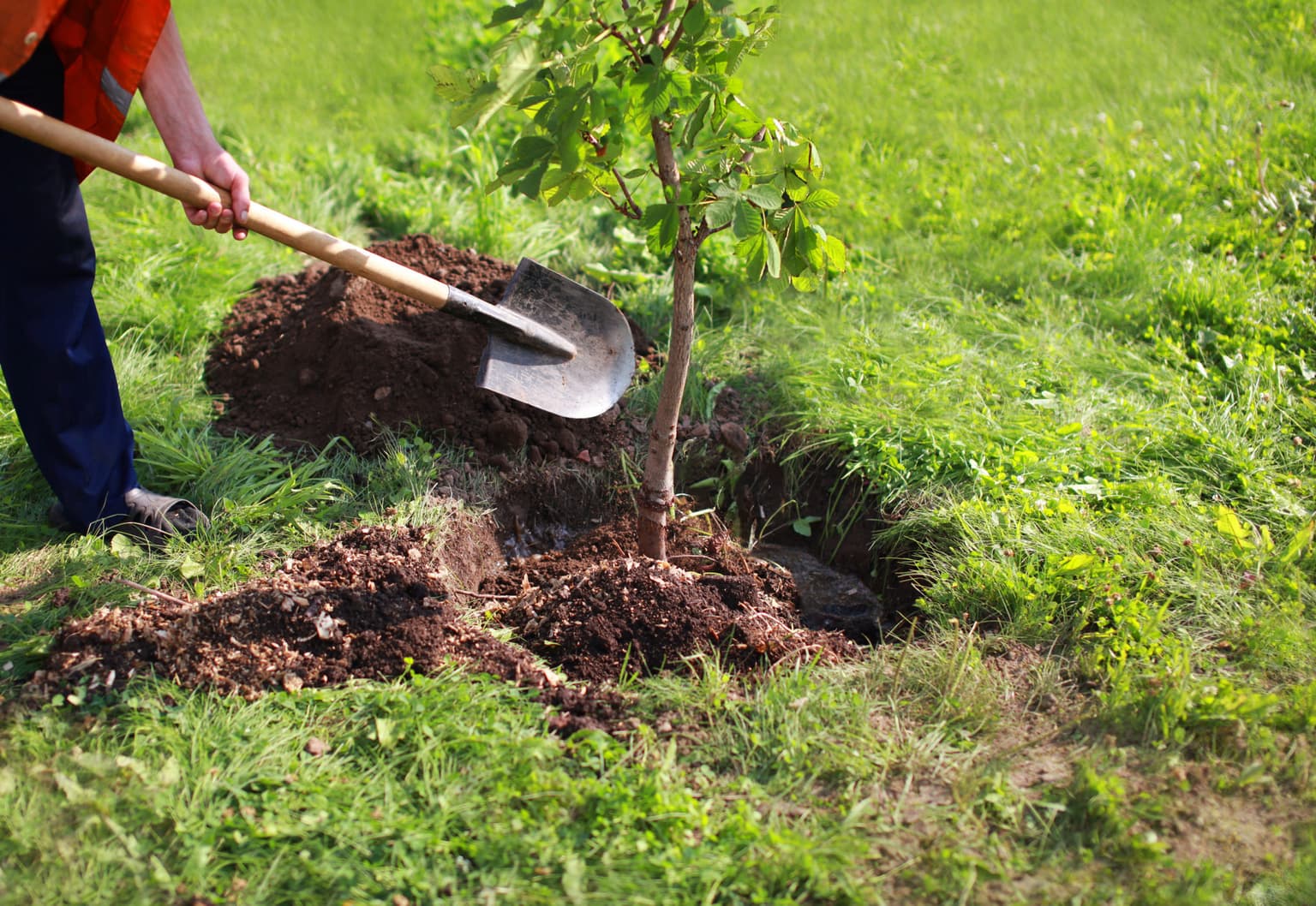 A recap of the evening 4 million people posted a picture of their pet
