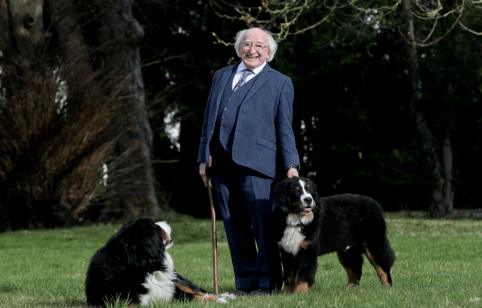 A love letter to Bród and Misneach for International Dog Day