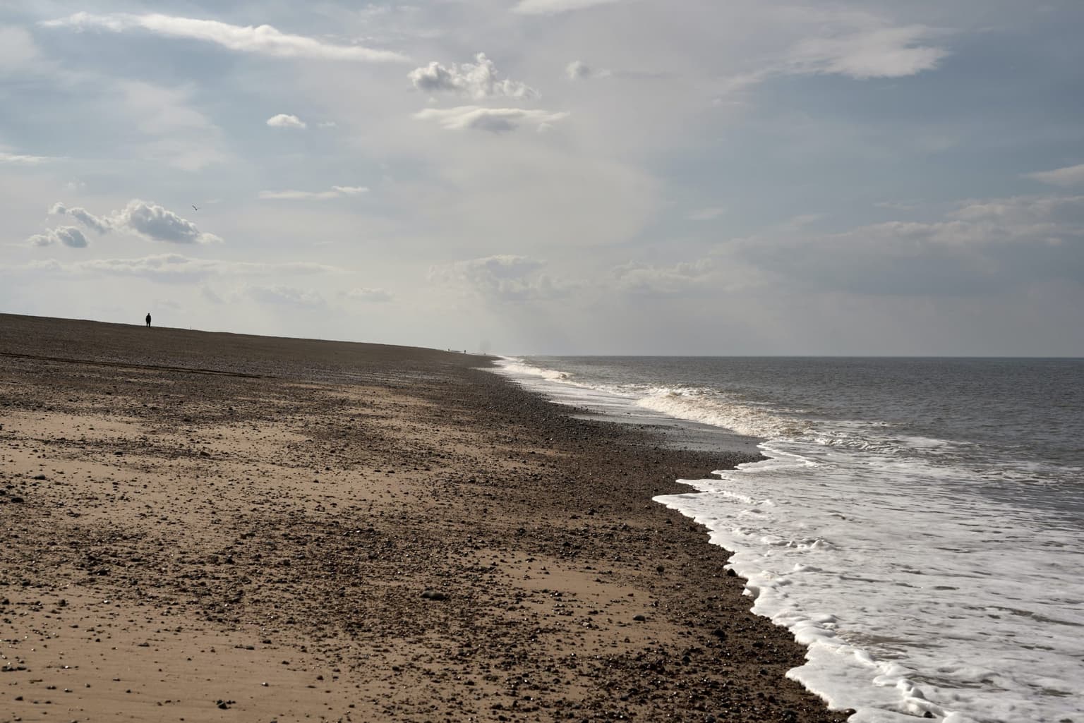 Shark attacks woman off the coast of England