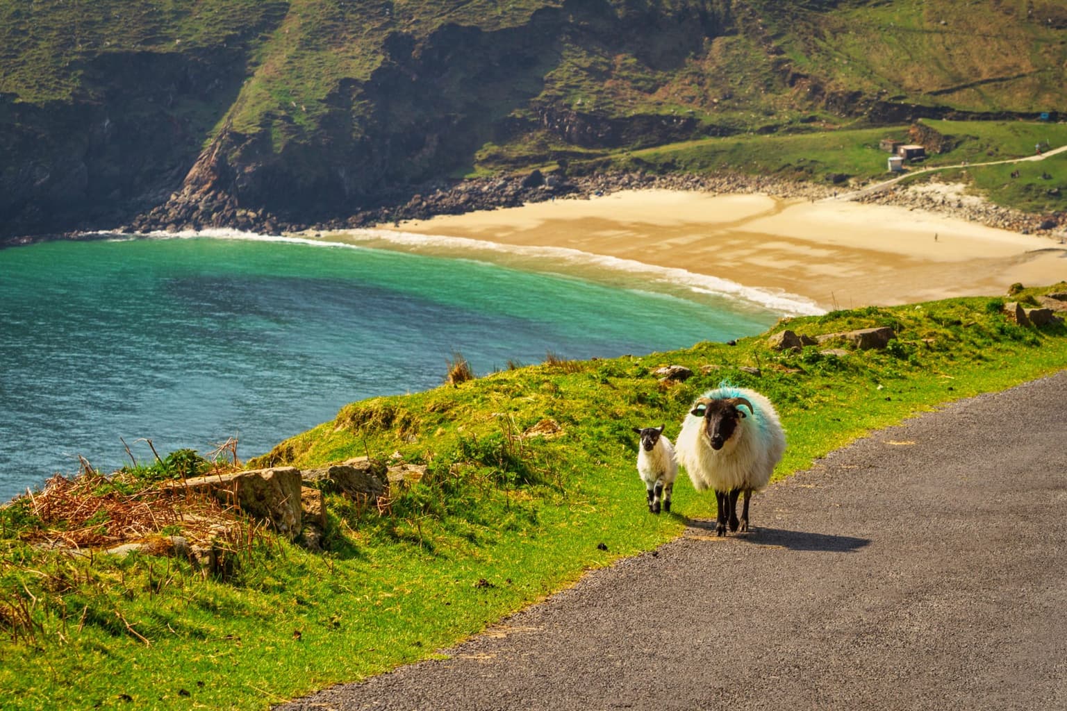 Met Éireann have issued another high temperature warning for this weekend