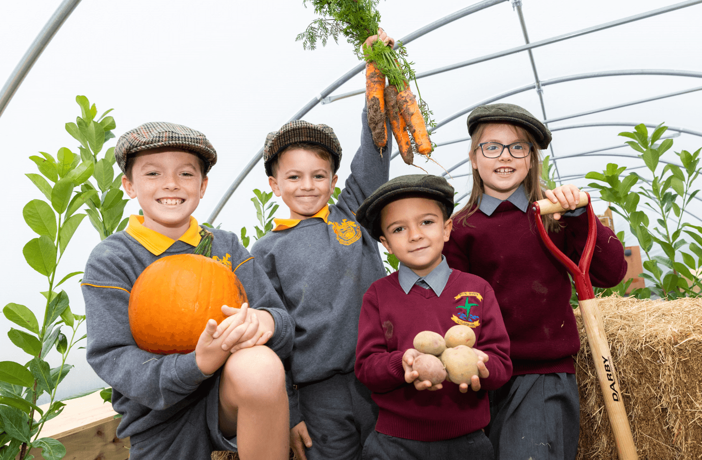 The Lidl Farm has officially opened to give free school tours