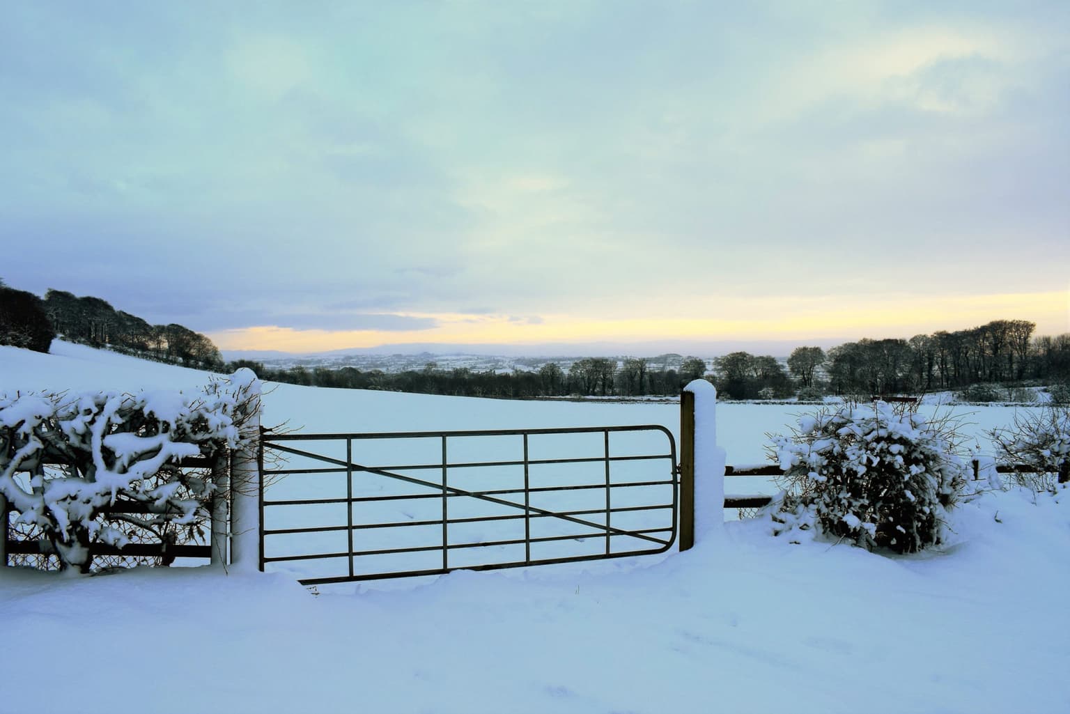Ireland could be in for a White Christmas this year