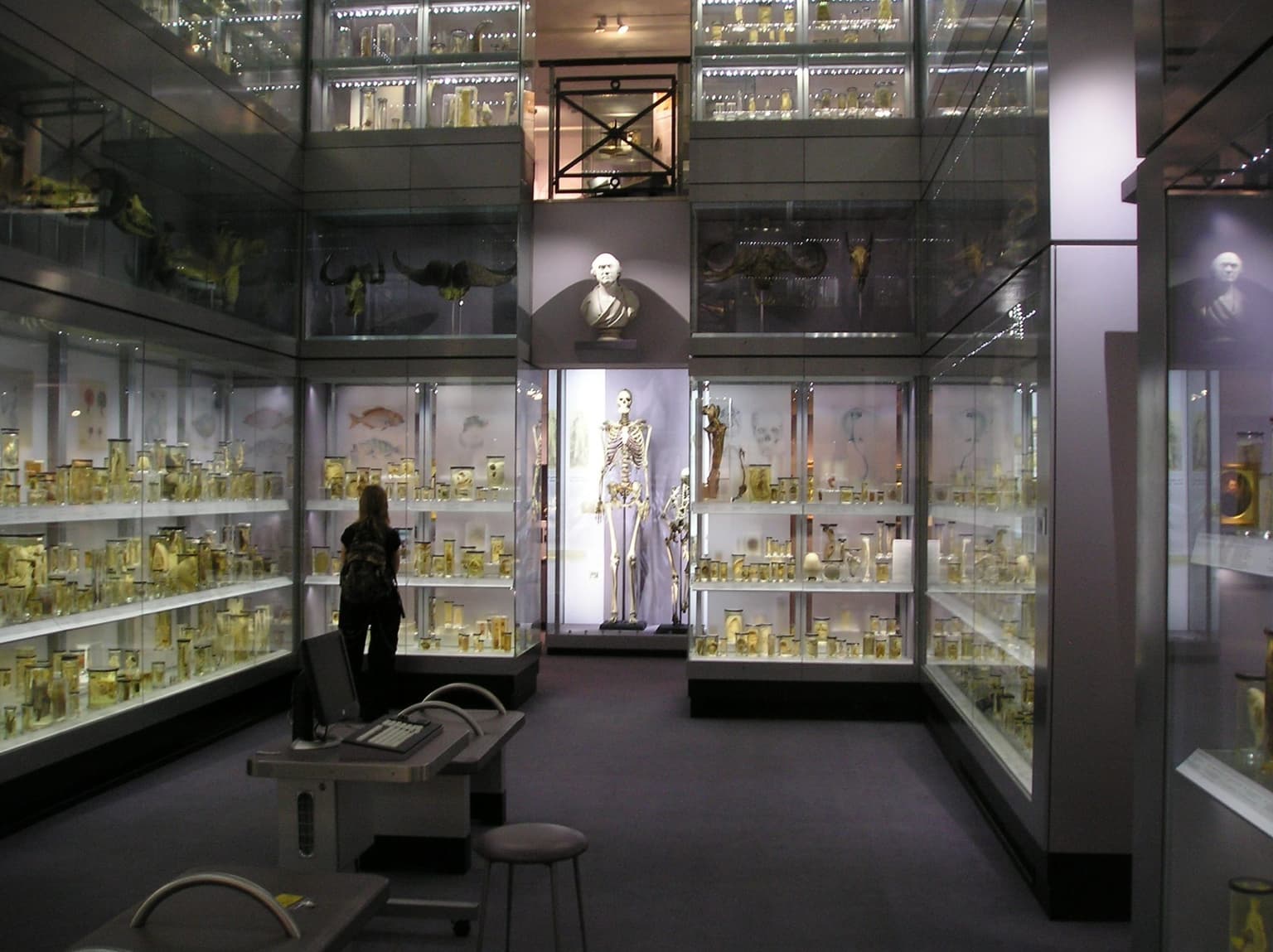 Unethically obtained skeleton of ‘Irish Giant’ to be removed from London museum