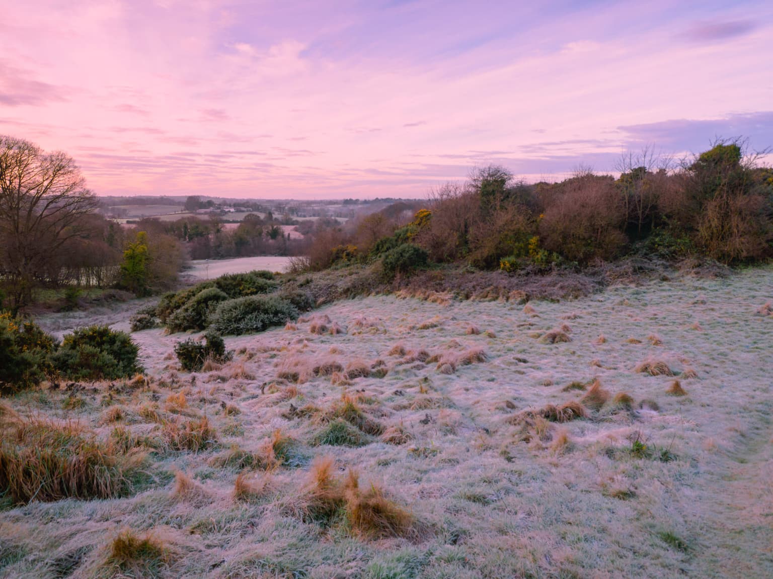 Temperatures to fall to freezing this week according to weather reports