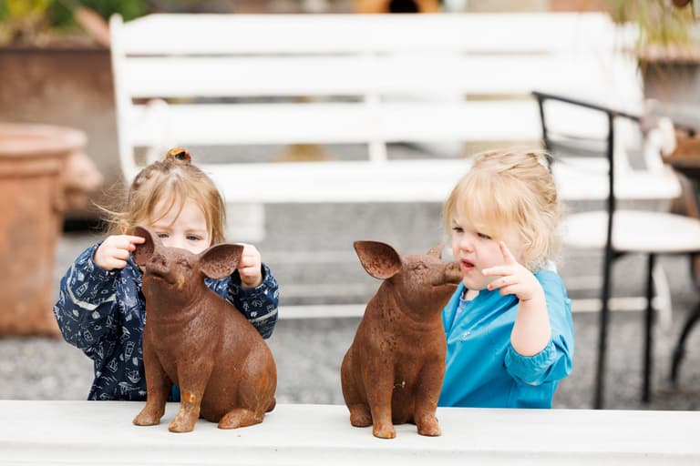 Calling all auctions fiends- there’s a massive Summer garden sale taking place soon