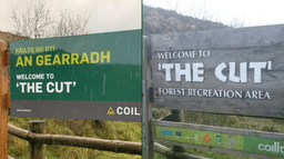Laois’ most unfortunate signpost has sadly been changed