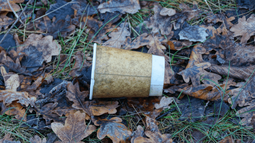 Ireland tidiest and most littered towns have been
