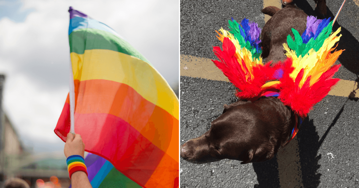 8 festivals taking place in Ireland for Pride 2023