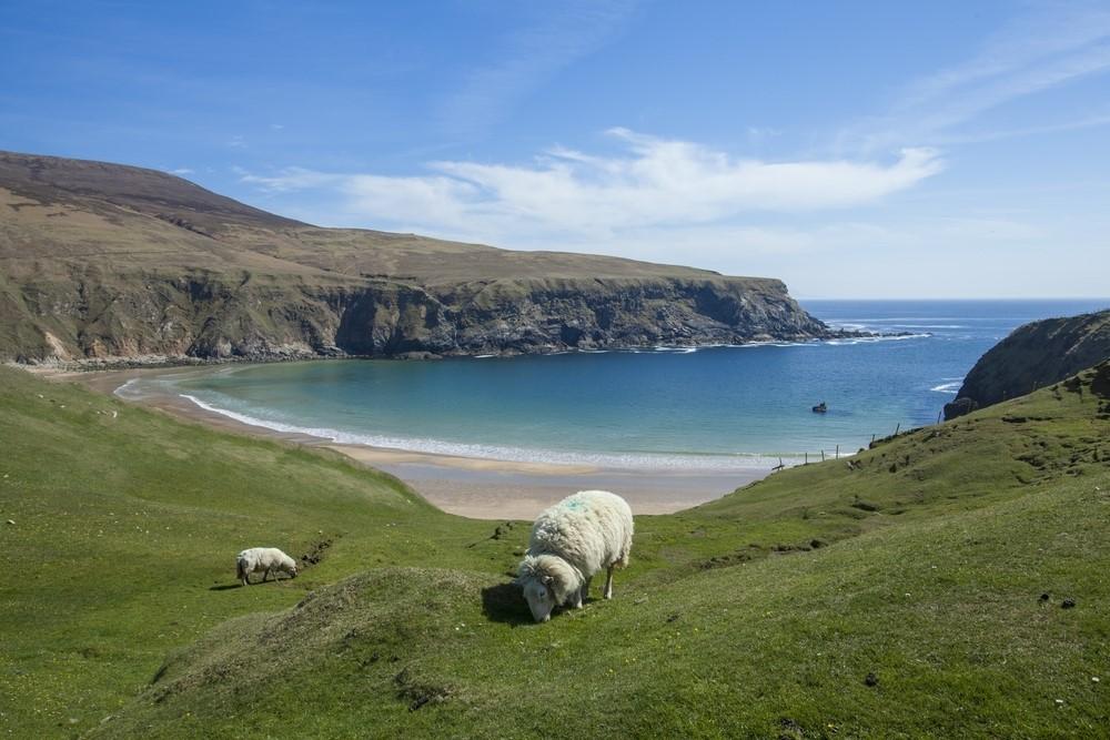 This Coastal Walking Trail Is The Perfect Spot To Experience The Wild Atlantic Way
