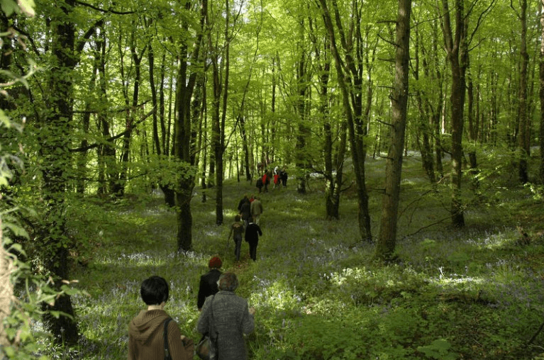This Has To Be One Of The Most Special Walking Trails In Ireland