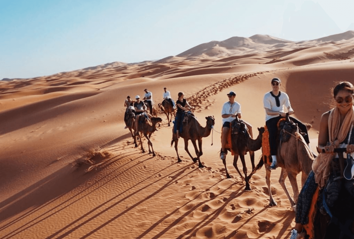 Seven Of The Best Activities To Do In Marrakech