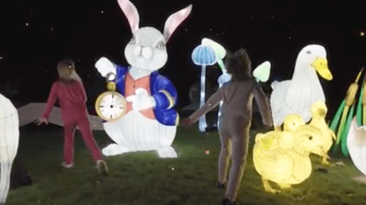 WATCH: Dublin Zoo Has Shared A Spectacular First Look At Wild Lights 2019