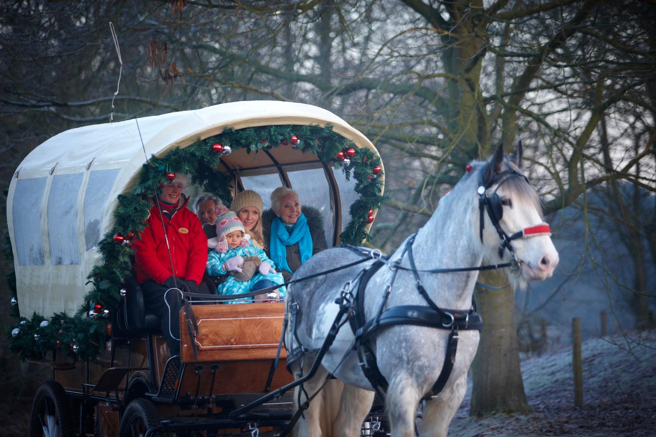 Center Parcs Set To Launch A Winter Wonderland This November