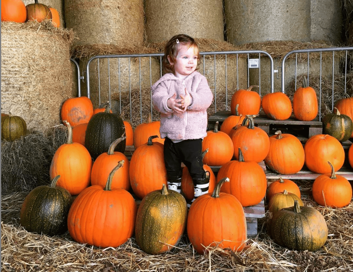 Nine Pumpkin Patches To Visit Around Ireland