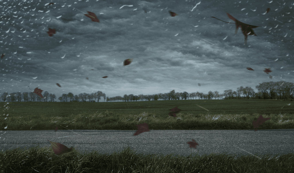 Storm Elsa results in orange weather warning being issued for Cork