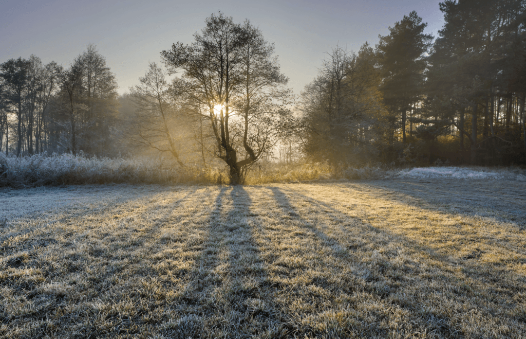Met Eireann predicts frosty start to the New Year