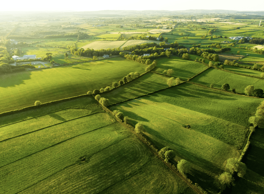Irish citizenship ranked as second best in the world