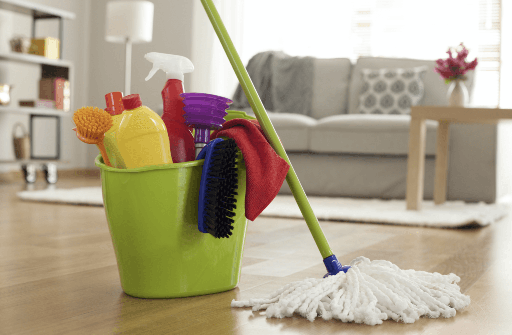 Irish company looking to hire naked cleaners for up to €50 an hour
