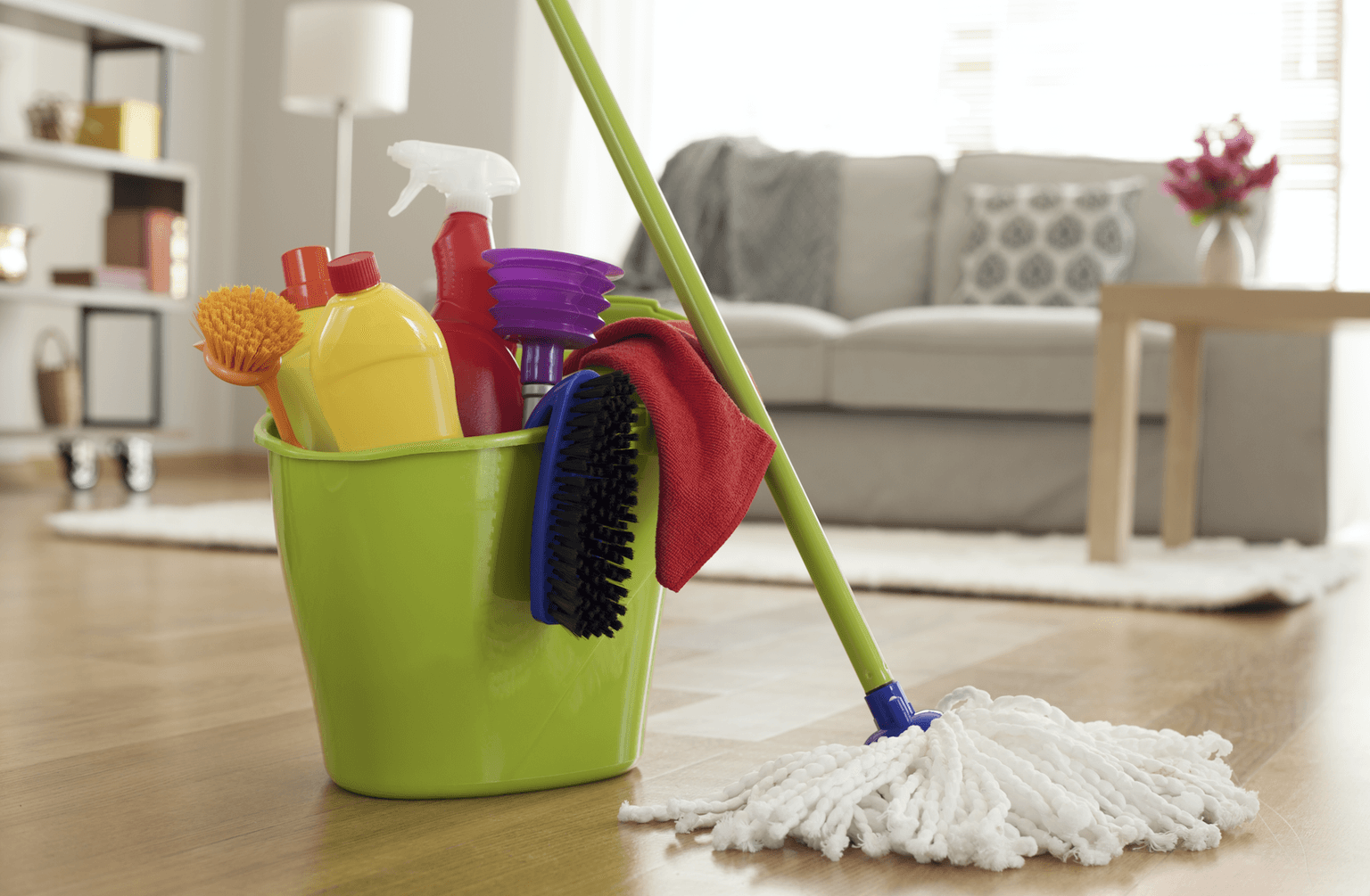 Irish company looking to hire naked cleaners for up to €50 an hour