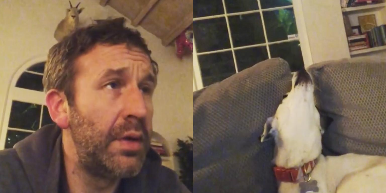 WATCH: Chris O’Dowd’s dog is a big fan of The US Office
