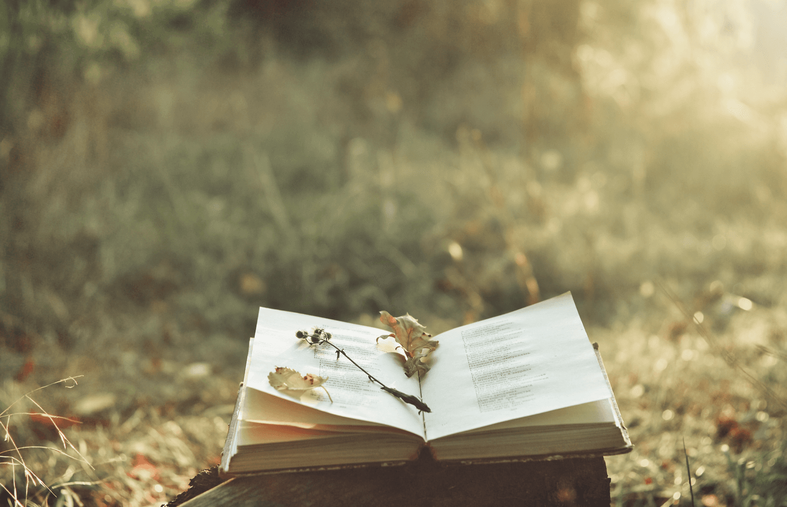 People turning to Irish poetry for solace