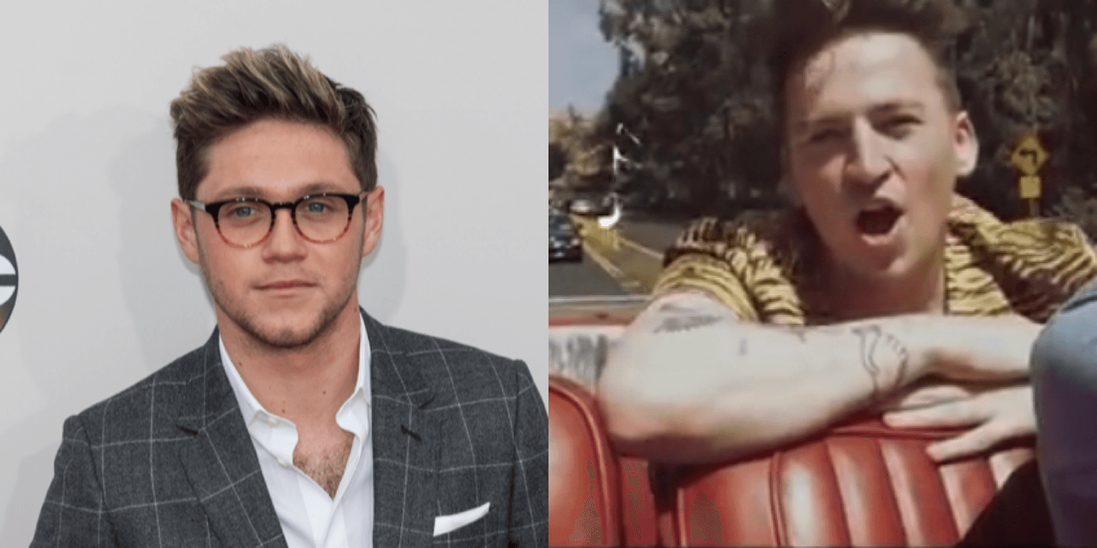 Picture This and Niall Horan join star-studded line up for global Together At Home gig