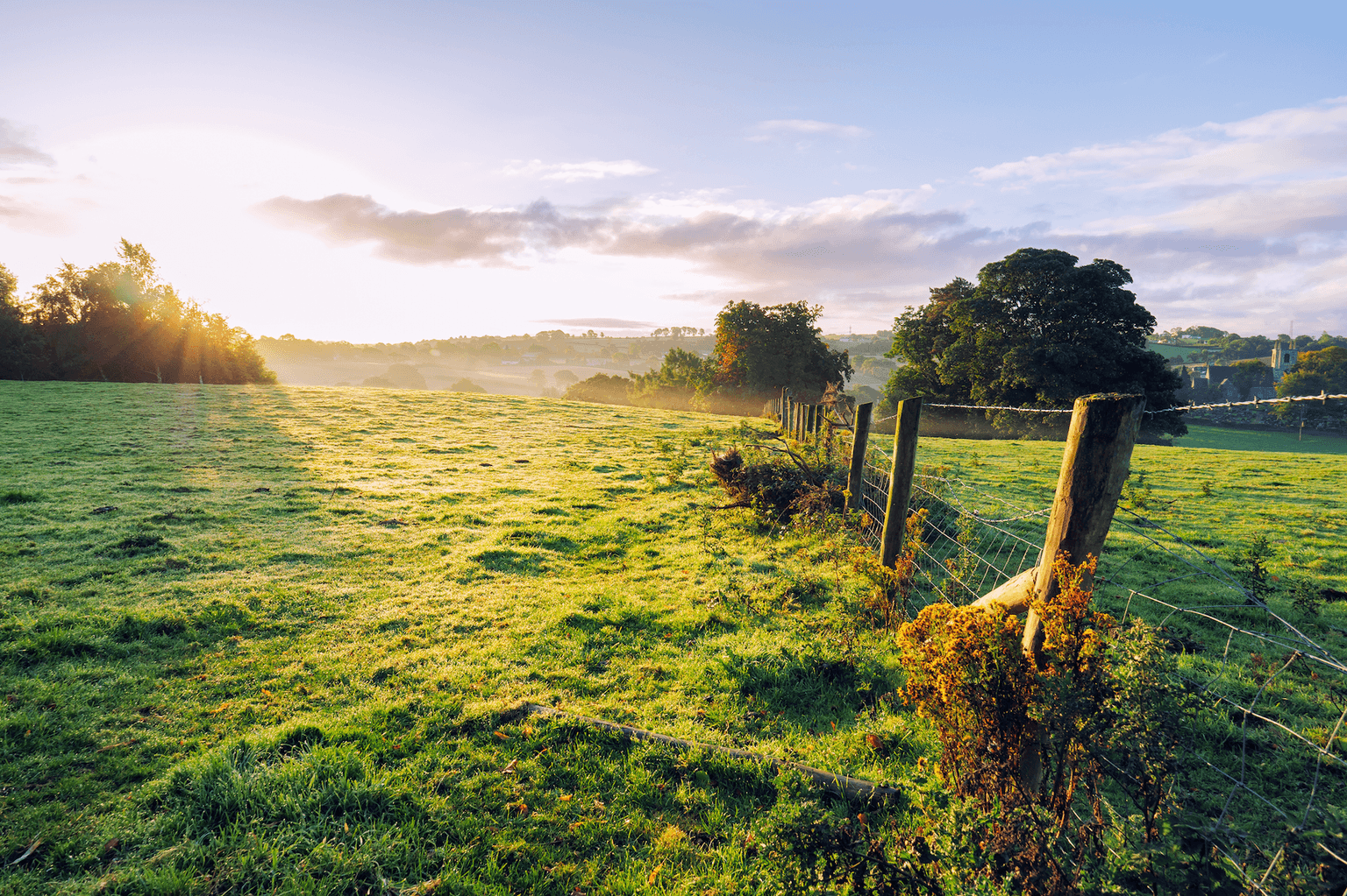 Chris O’Dowd has been asking people for photos from home to cure his homesickness