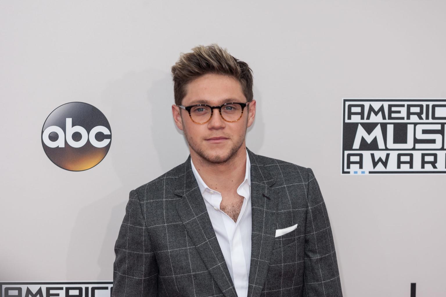 Niall Horan donates €100K to ALONE